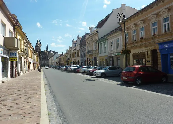 Appartamento Luxury Large 21 *